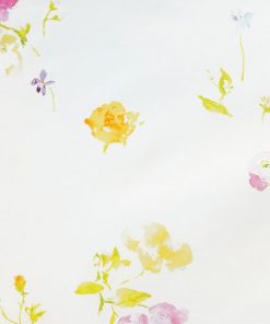 Nani Iro New Morning